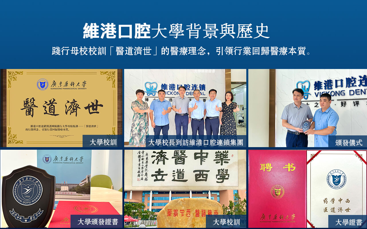 醫藥大學背景
