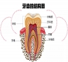 珠海牙科——種植牙會有風險和後遺症嗎？