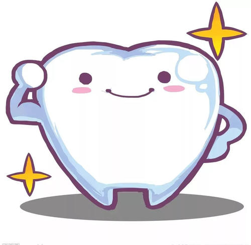 牙齒有哪些功能？