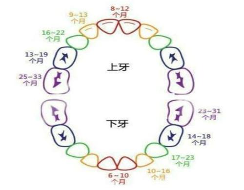  珠海牙科-乳牙過早脫落會有什麼後果？